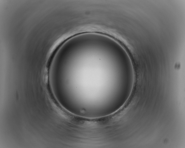 X0000094431509200711081214