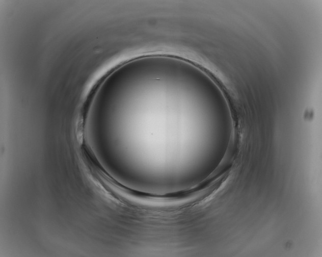 X0000094431510200711081214