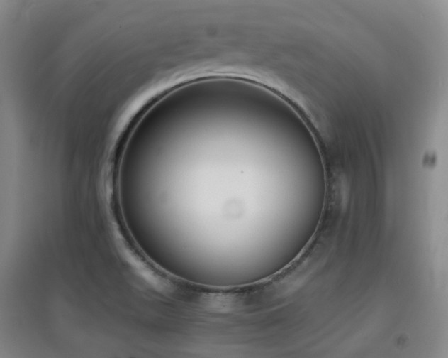 X0000094431511200711081214