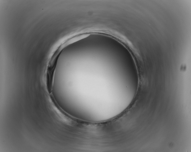X0000094431512200711081214