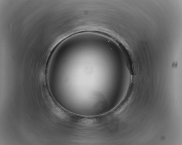 X0000094431513200711081214