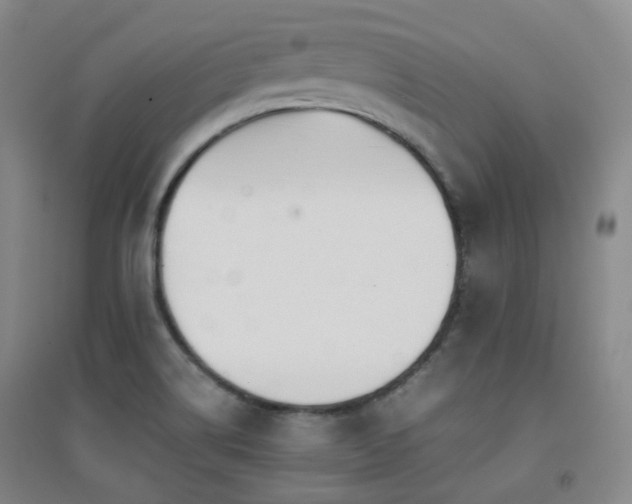 X0000094431514200711081214