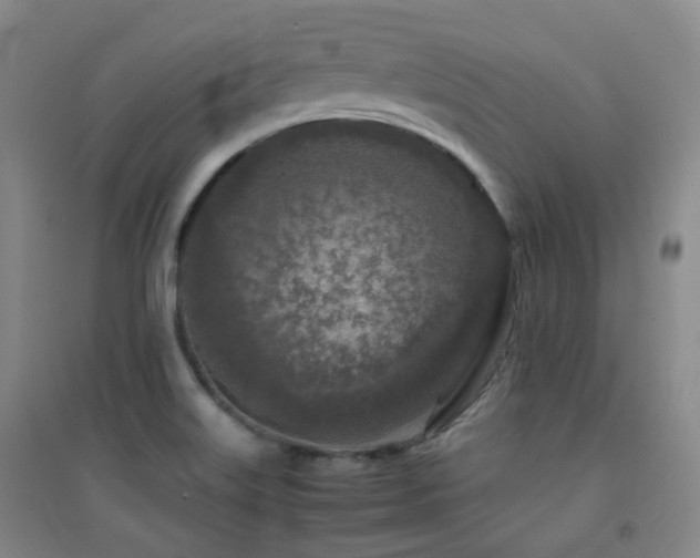 X0000094431515200711081214