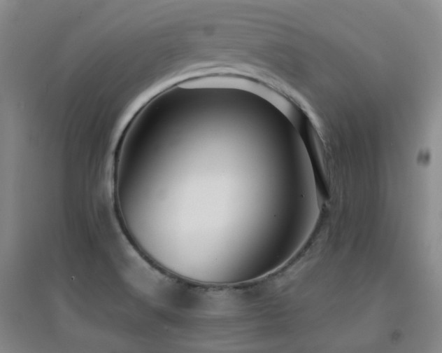 X0000094431516200711081214