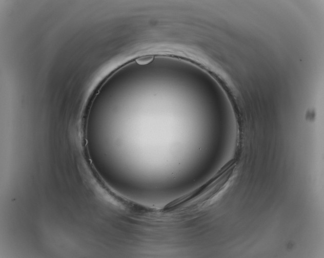 X0000094431517200711081214