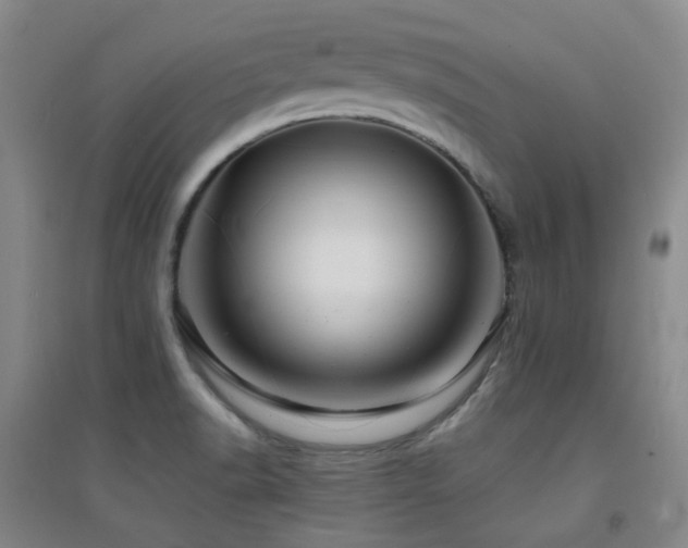 X0000094431518200711081214