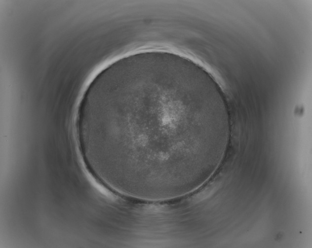 X0000094431519200711081214
