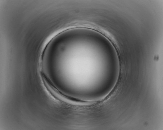 X0000094431520200711081214