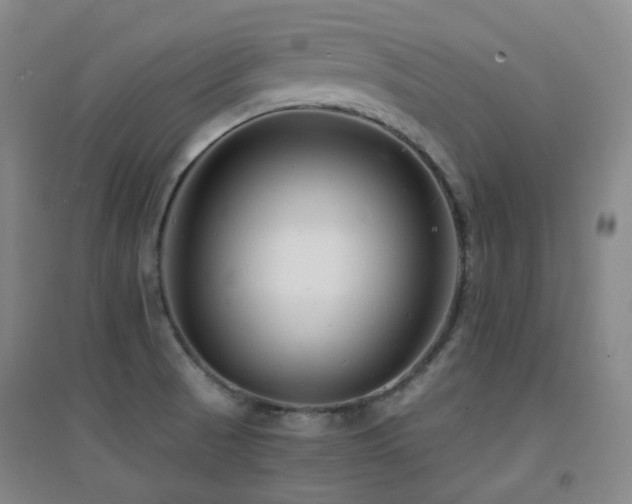 X0000094431521200711081214