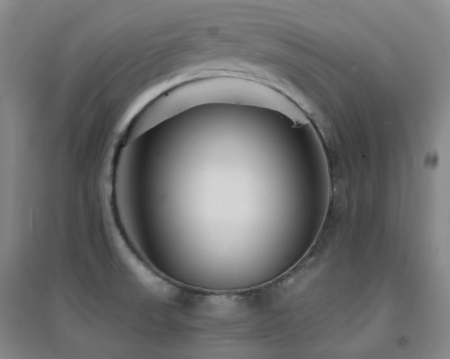 X0000094431523200711081214