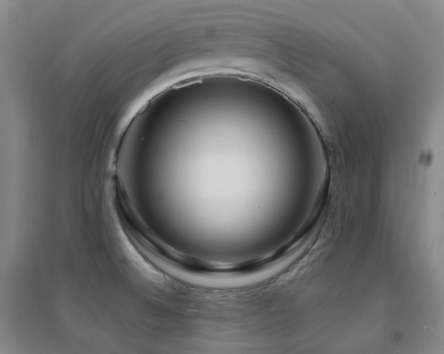 X0000094431524200711081214