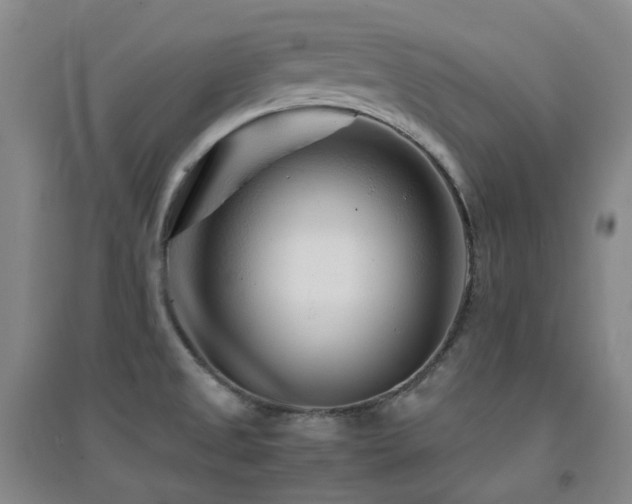X0000094431525200711081214