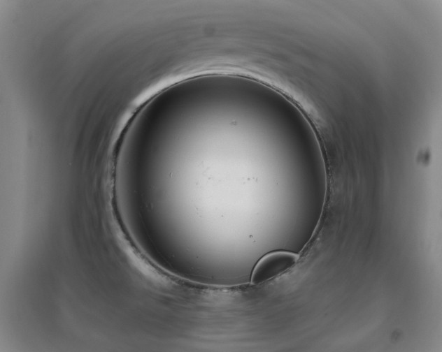 X0000094431526200711081214