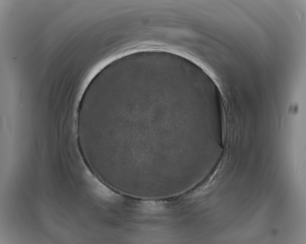 X0000094431527200711081214