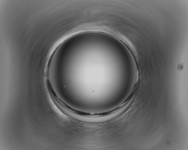 X0000094431528200711081214