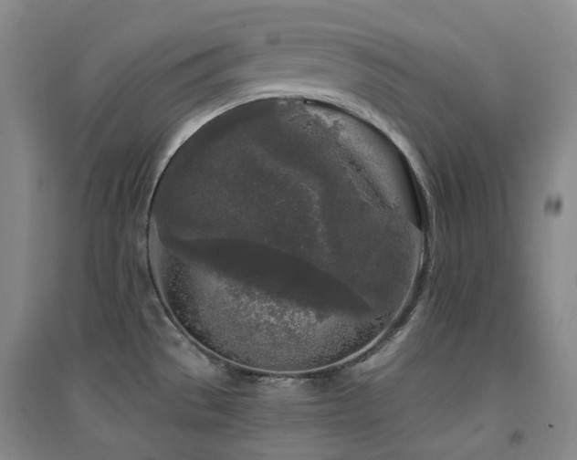 X0000094431529200711081214