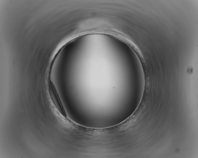 X0000094431530200711081214