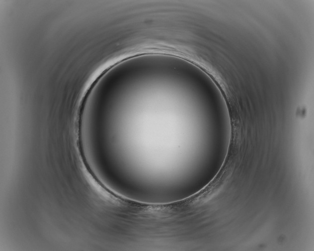 X0000094431531200711081214