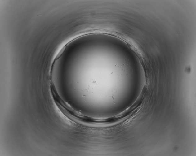 X0000094431532200711081214