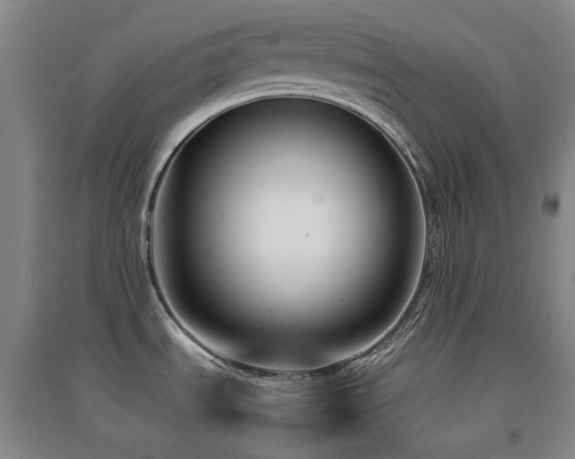 X0000094431535200711081214