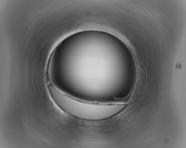 X0000094431536200711081214