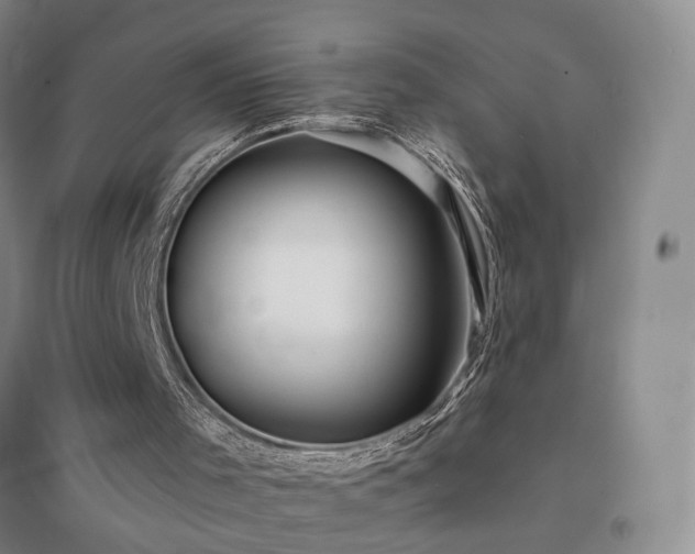 X0000094430001200711151352