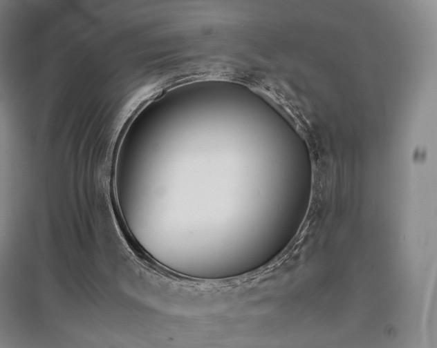 X0000094430003200711151352