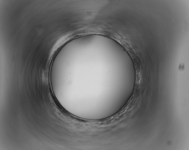 X0000094430004200711151352