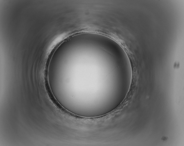 X0000094430007200711151352