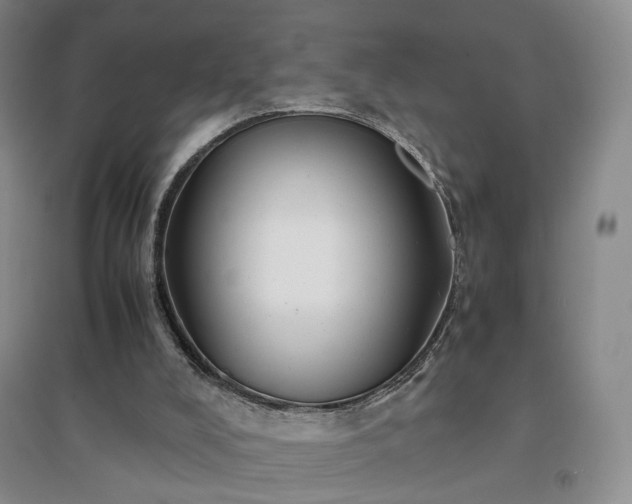 X0000094430008200711151352
