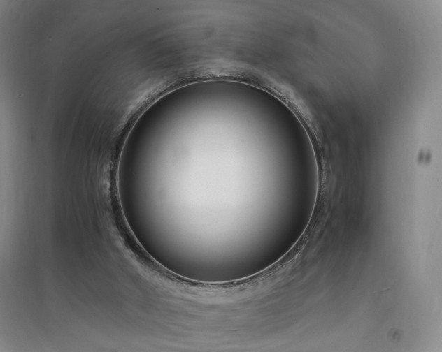 X0000094430010200711151352