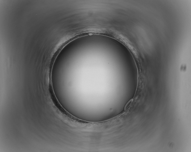 X0000094430011200711151352