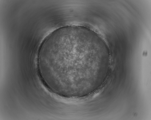 X0000094430012200711151352