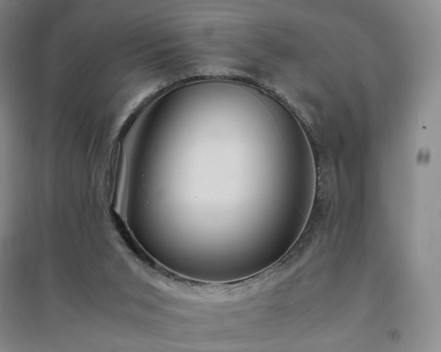 X0000094430015200711151352