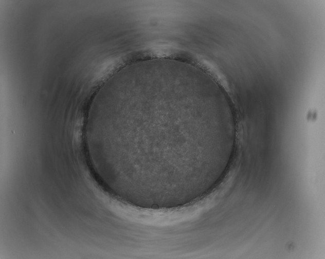 X0000094430018200711151352