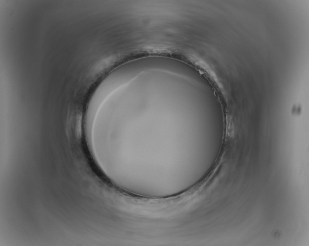 X0000094430019200711151352