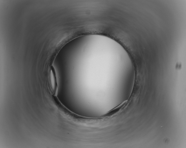 X0000094430021200711151352