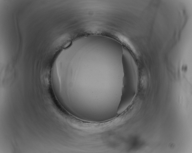 X0000094430023200711151352