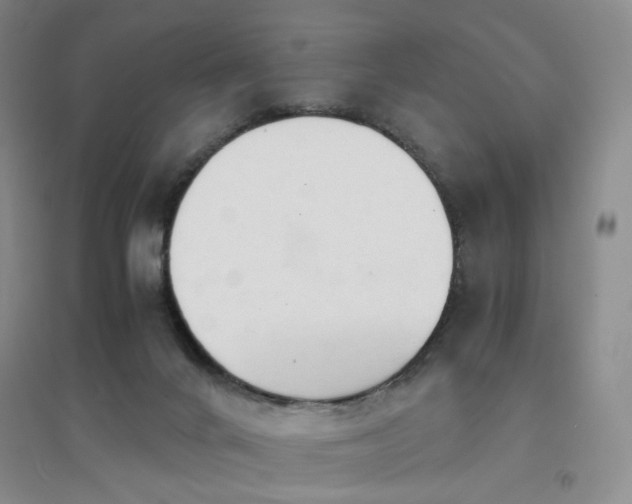 X0000094430024200711151352