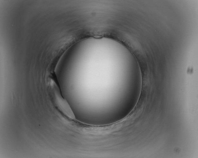 X0000094430025200711151352