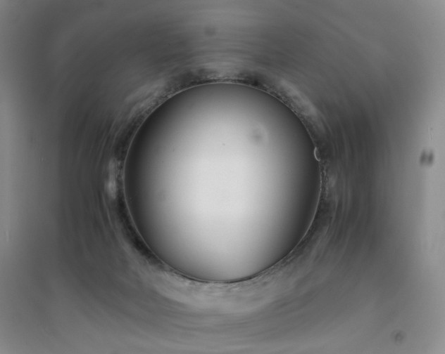 X0000094430026200711151352