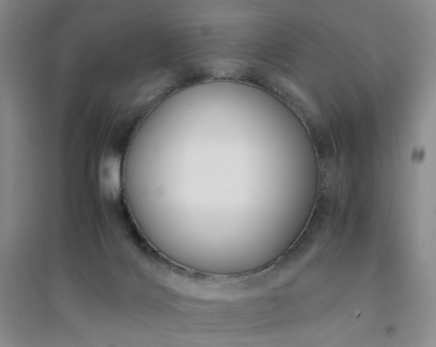 X0000094430028200711151352