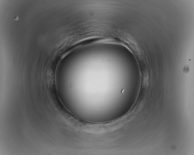 X0000094430029200711151352