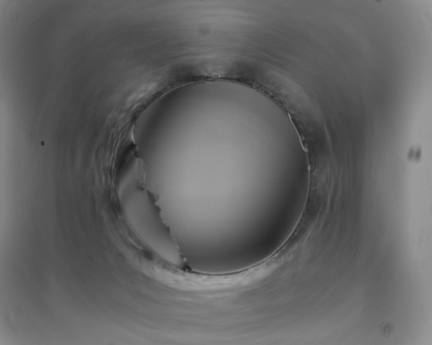 X0000094430031200711151352