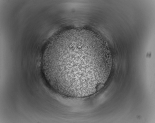 X0000094430032200711151352