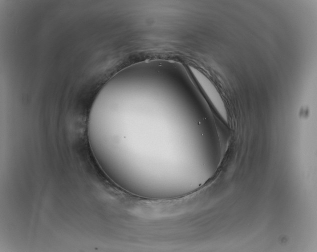 X0000094430033200711151352