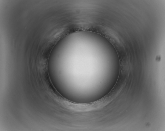 X0000094430034200711151352