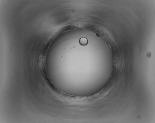 X0000094430036200711151352