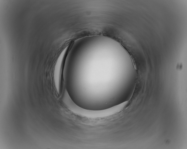 X0000094430037200711151352