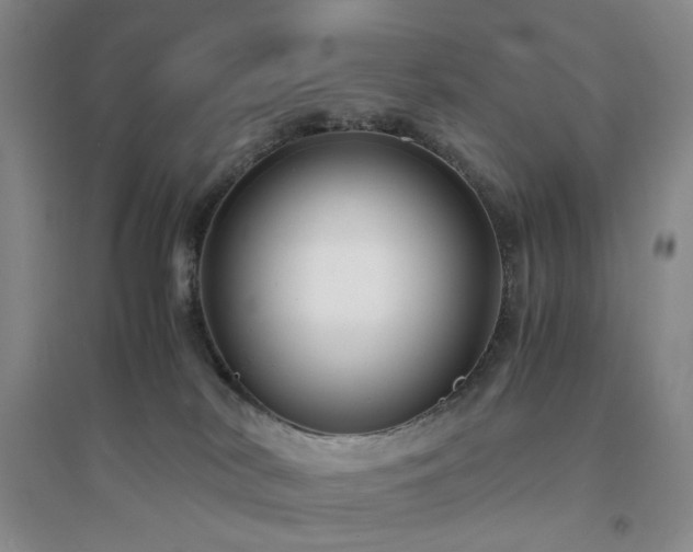 X0000094430038200711151352